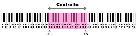 alto betekenis corps|contraltos alto.